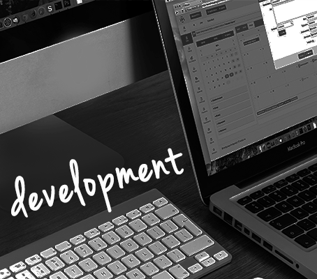 script-development